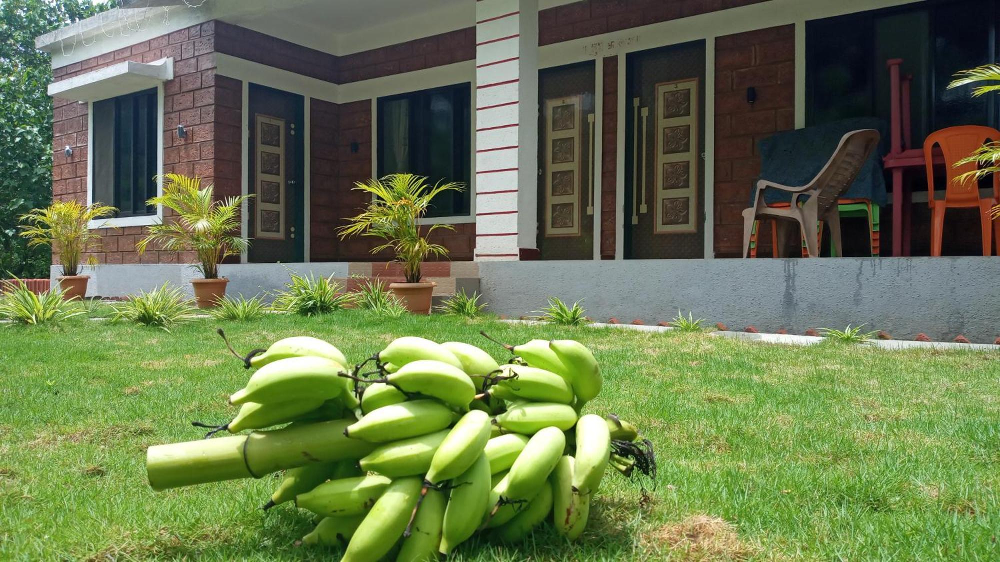 Coconut Village Resort 알리바그 외부 사진