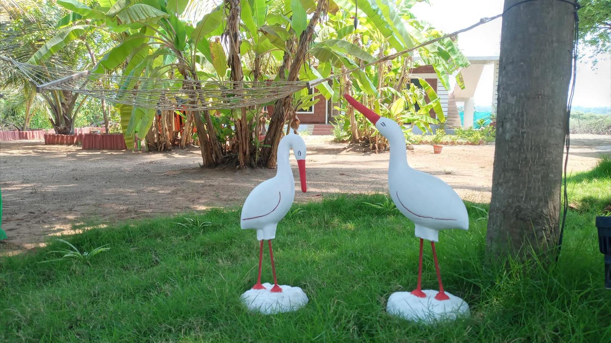 Coconut Village Resort 알리바그 외부 사진